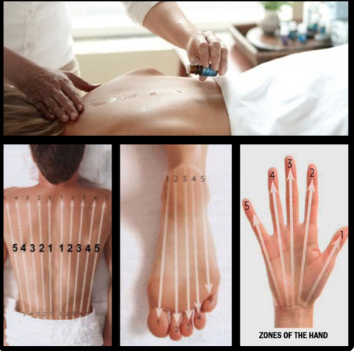 AromaTouch Technique